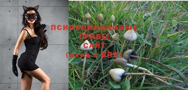 a pvp Мегион