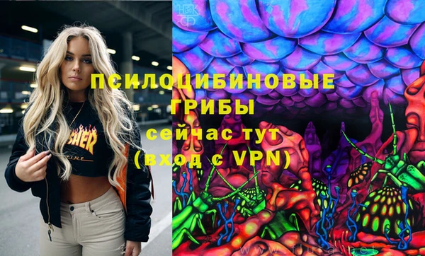 дмт Медвежьегорск