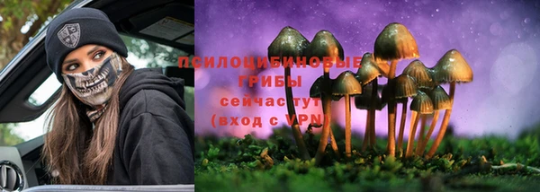 дмт Медвежьегорск